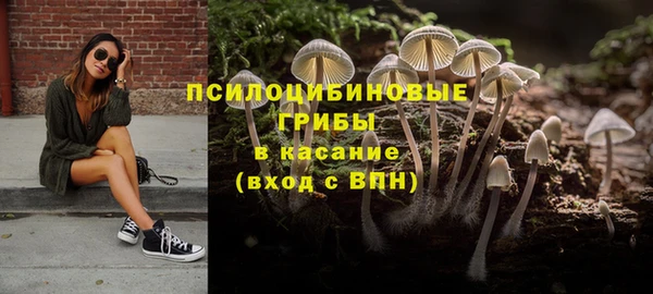 дмт Алексеевка